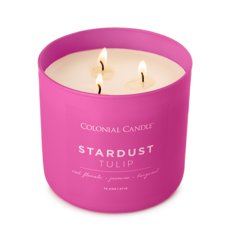 Stardust Tulip, 14.5oz, Pop of Color