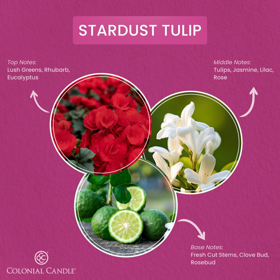 Stardust Tulip, 14.5oz, Pop of Color