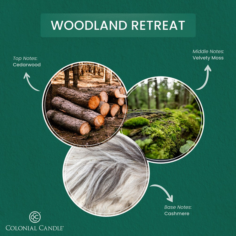 Woodland Retreat, 14.5oz, Pop of Color