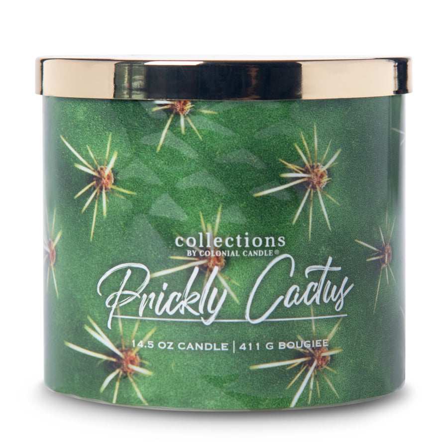 Prickly Cactus