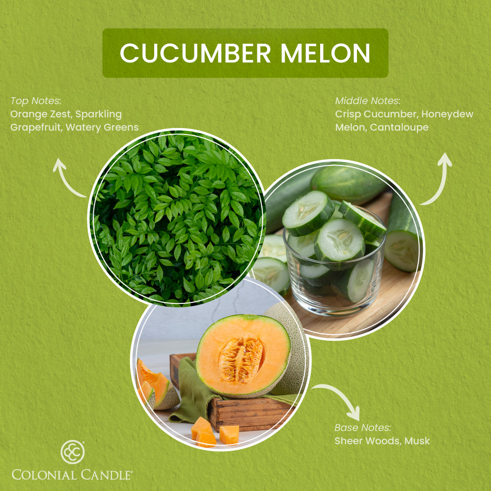 Cucumber Melon, 14.5oz, Pop of Color