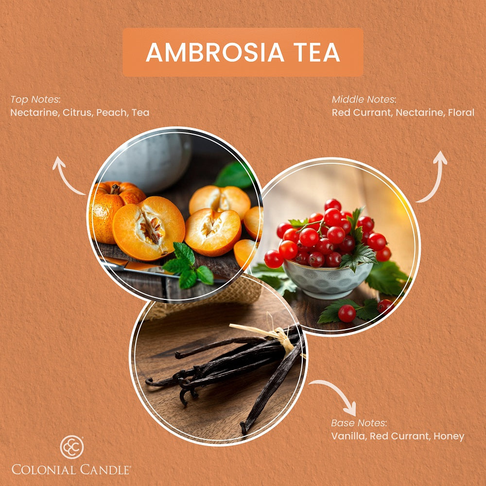 Ambrosia Tea, 14.5oz, Pop of Color