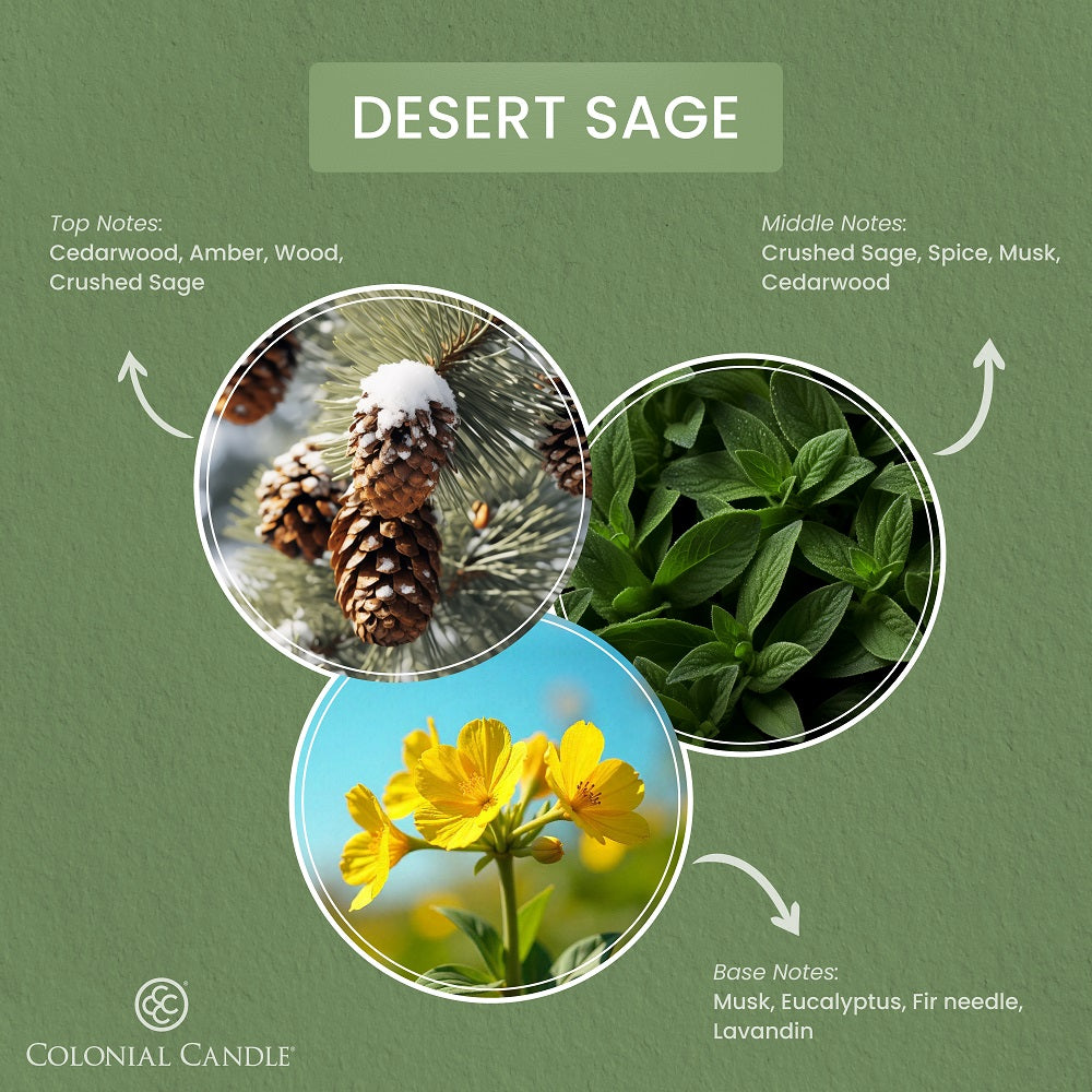 Desert Sage, 14.5oz, Pop of Color