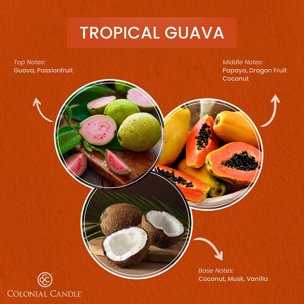 Tropical Guava, 14.5oz, Pop of Color