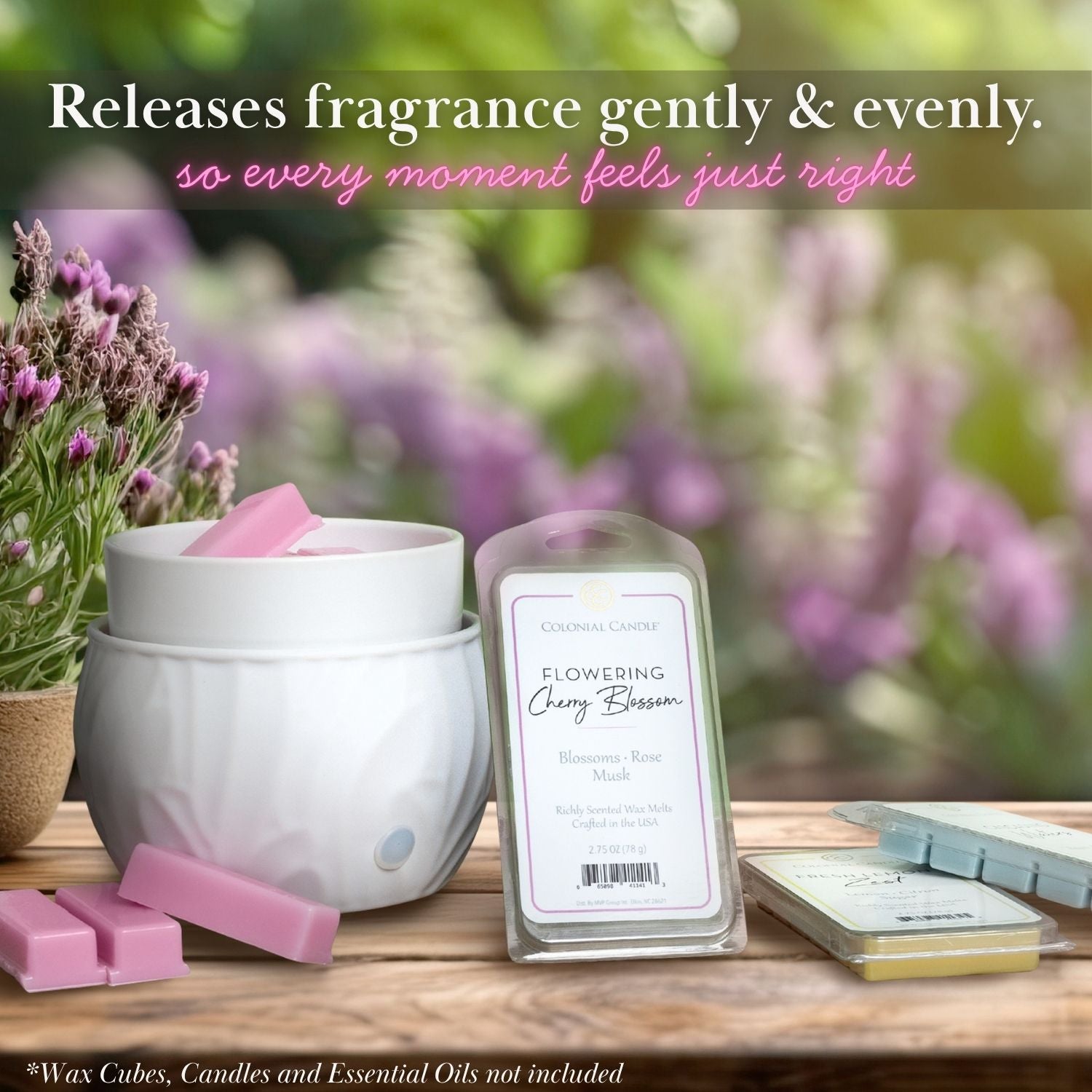 Colonial Candle Multifunctional White Warmer with Timer