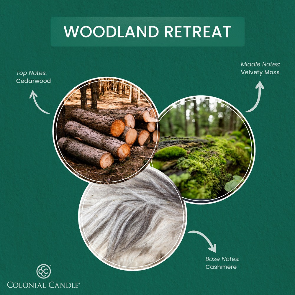 Woodland Retreat, 14.5oz, Pop of Color