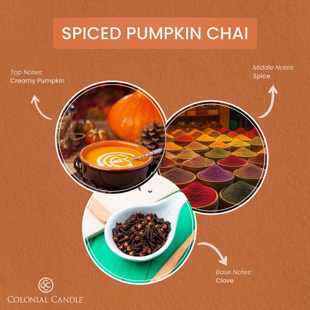 Spiced Pumpkin Chai, 14.5oz, Pop of Color