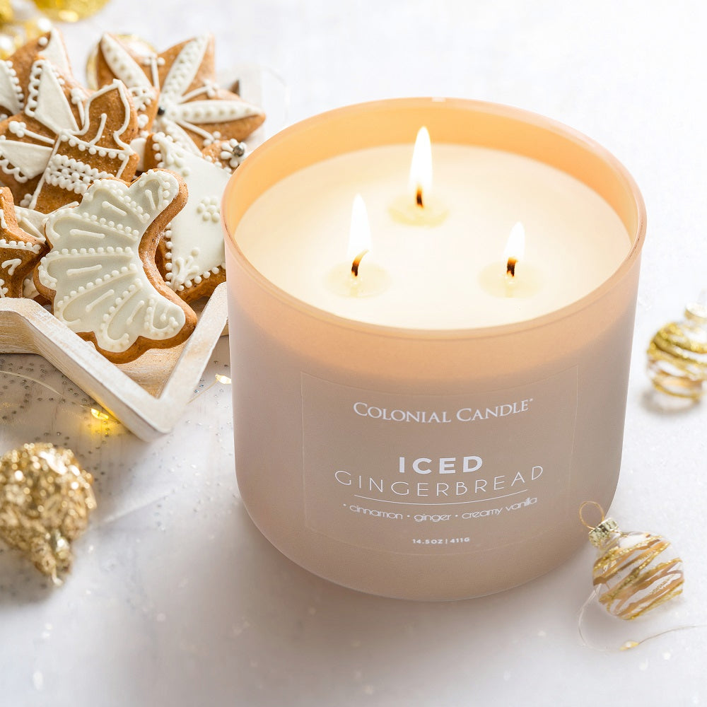 Iced Gingerbread, 14.5oz, Pop of Color