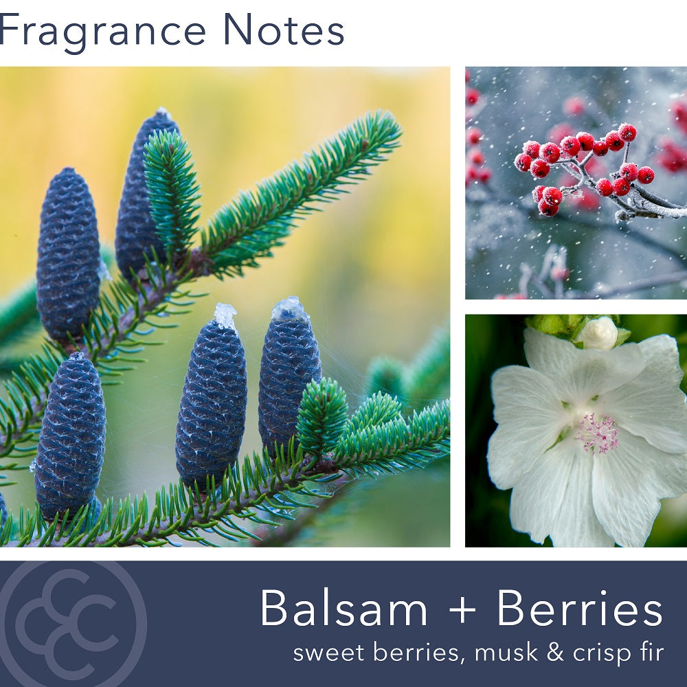 Balsam & Berries, 14 oz, M Baker Collection