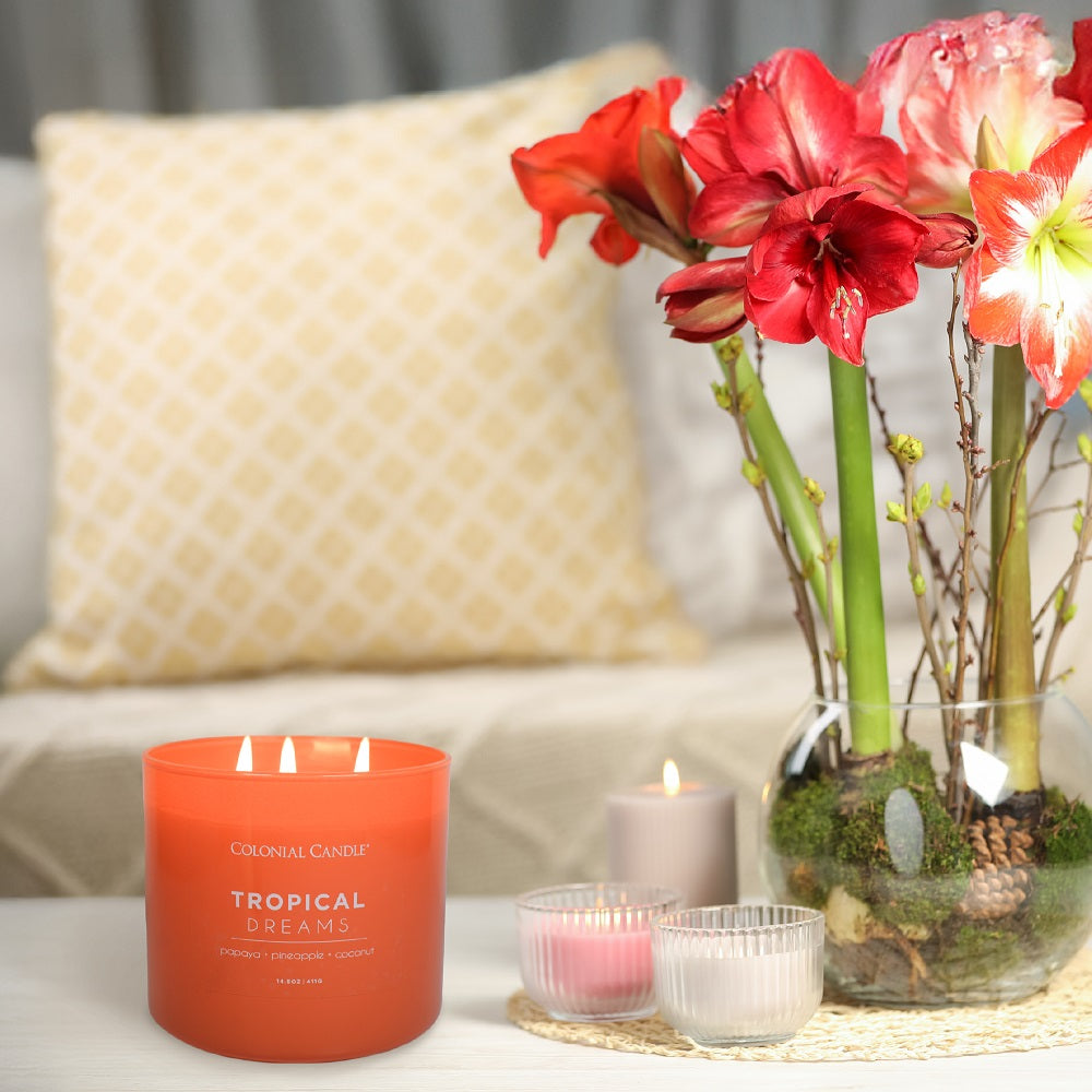 Tropical dreams, 14.5oz, Pop of Color