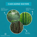 Cascading Waters, 8oz, Classic Ovals