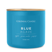 Blue Agave, 14.5oz, Pop of Color