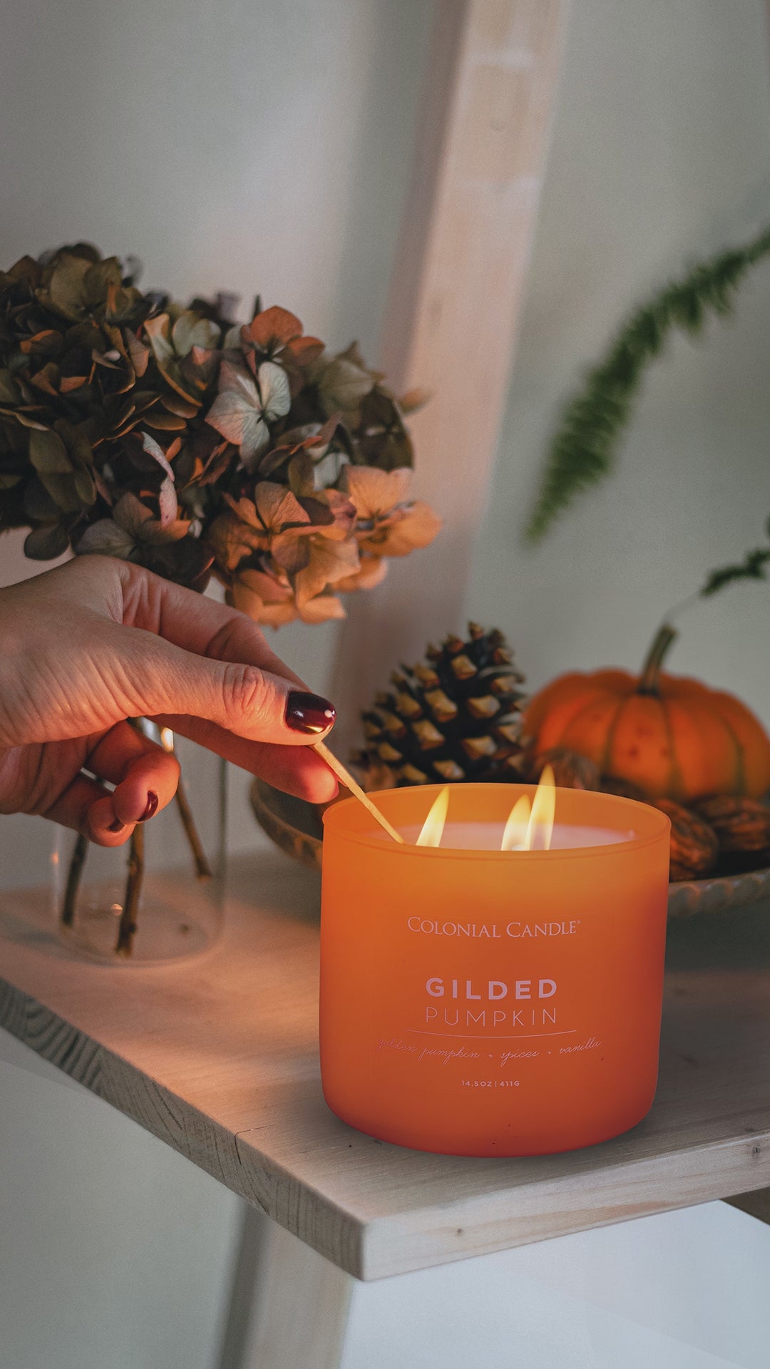 Load video: Gilded Pumpkin, 14.5oz, Pop of Color